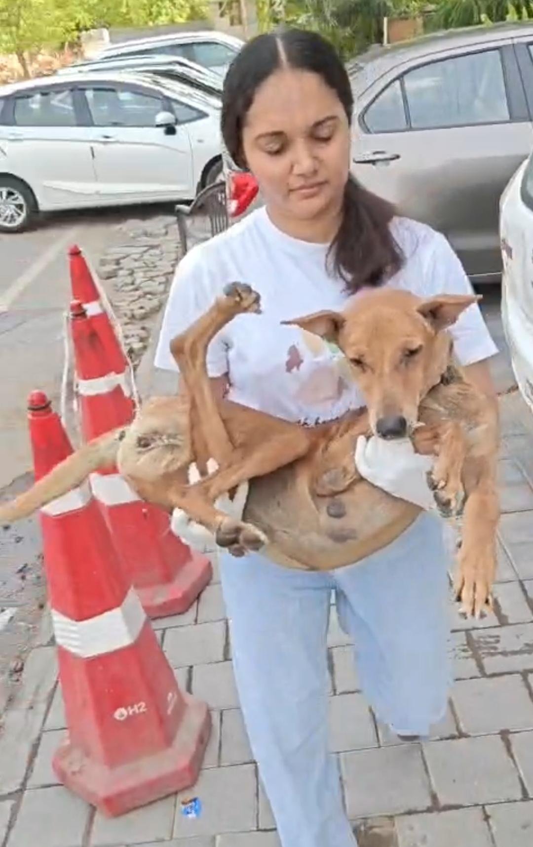 Carrying an injured rescue to safety