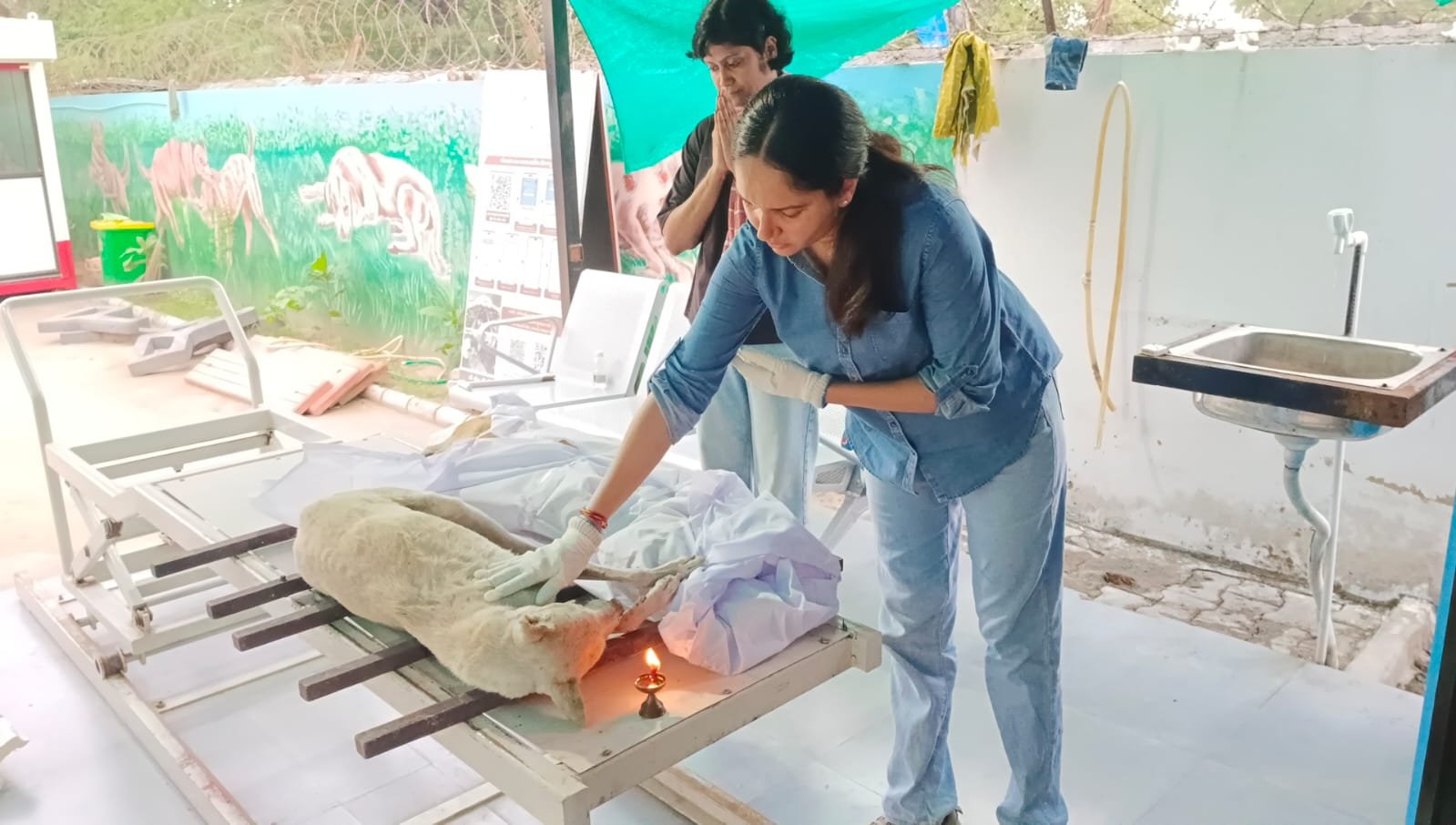 Lighting a diya beside a rescued dog before cremation