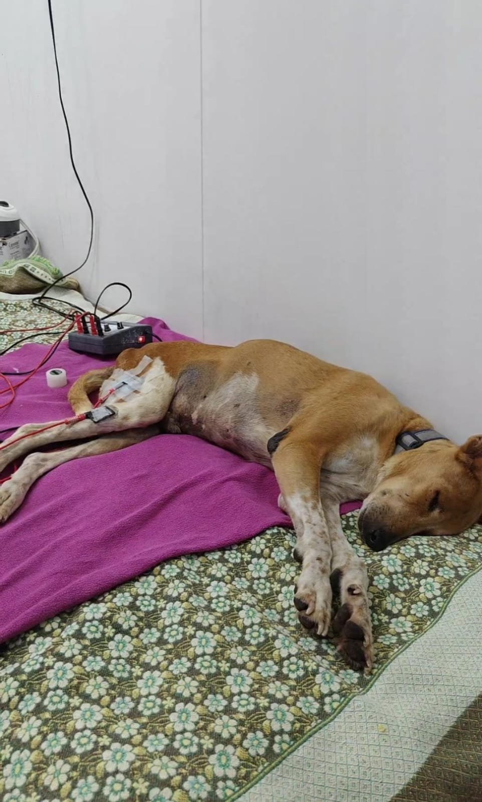 Resting during electrotherapy treatment