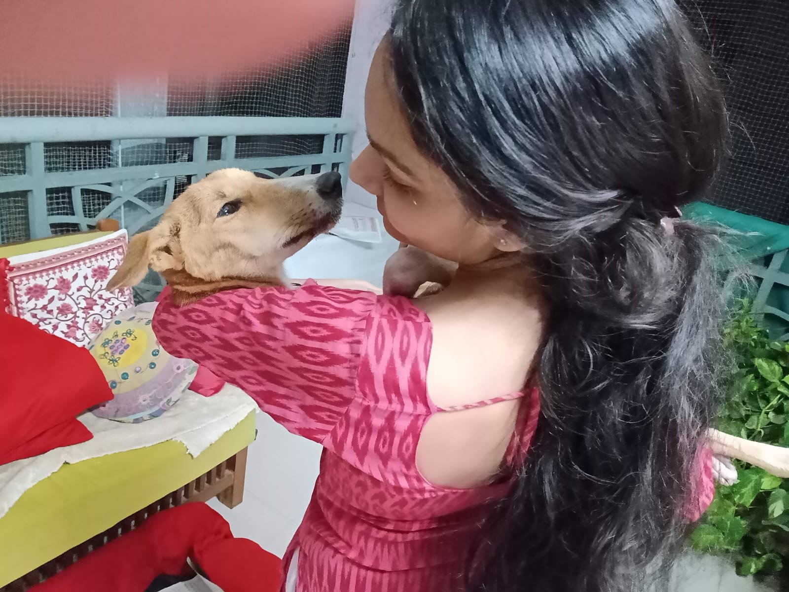 Marvel, the rescued and adopted dog