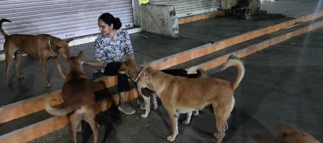 Dr Vaacha Shah on her night feeding round with street dogs