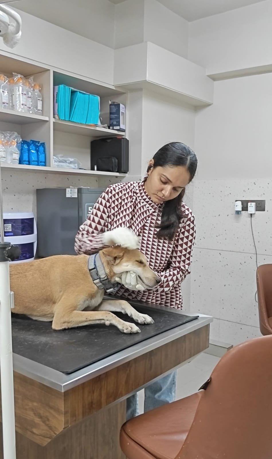 Comforting a rescue at the vet clinic